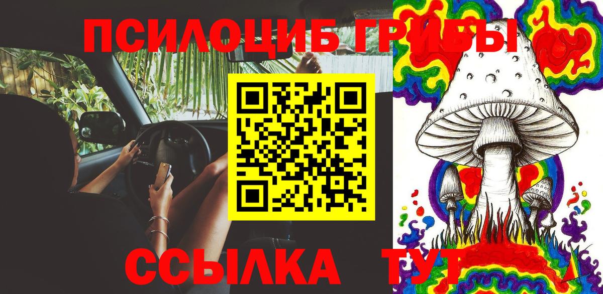 Галлюциногенные грибы MAGIC MUSHROOMS Гай