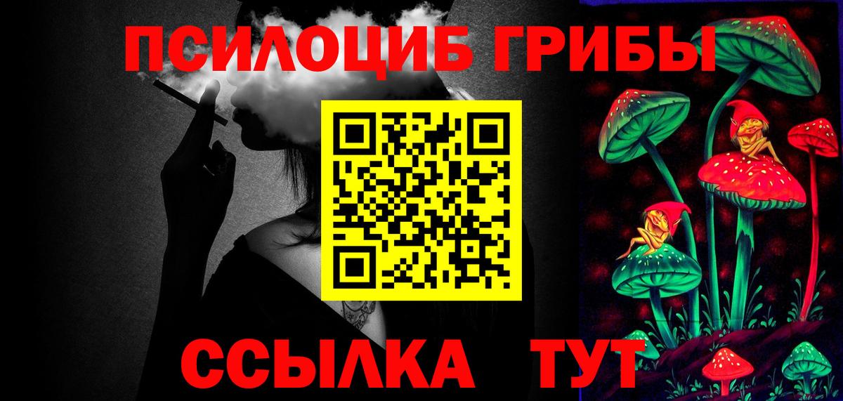 Псилоцибиновые грибы Psilocybe  Вход с VPN  Псилоцибиновые грибы Psilocybe  Гай 